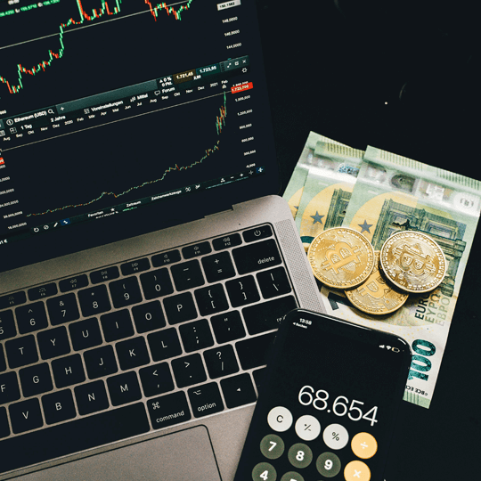 Instant Terlix crypto investment experts team